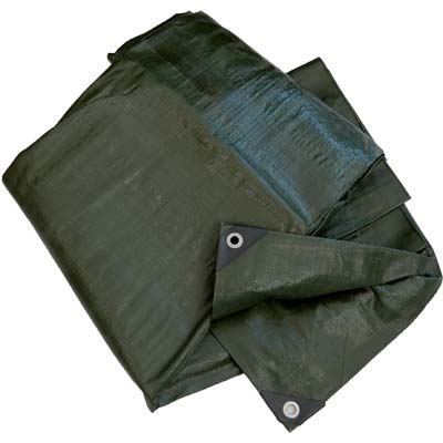 TELONE OCCHIELLATO PE LIGHT VERDE HAND - GR/MQ 75 MT 3X5- 2 pezzi