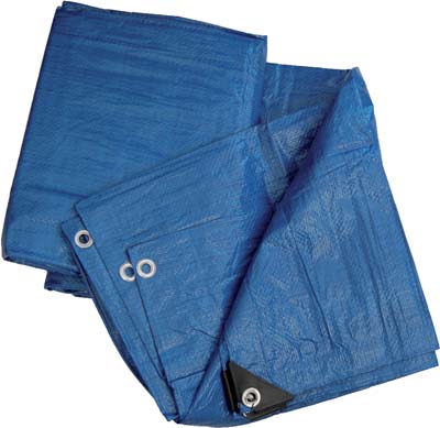 TELONE OCCHIELLATO PE BLU HAND - GR/MQ 90 MT  4X4- 2 pezzi