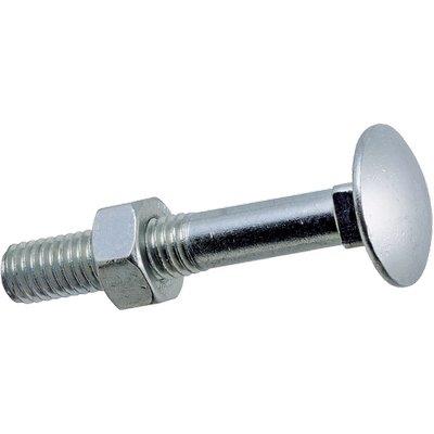 BULLONE TTDQ - CLASSE 4.8 ZINCATO MM  8X100 CF=PZ 100- 1 confezioni