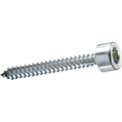 VITE AUTOFILETTANTE TCCE AMBROVIT - ZINCATA BIANCA MM 4,8X32 CF=PZ 500- 1 confezioni