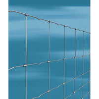 RETE PECORA ANNODATA ZINCATA NODAGRI CAVATORTA  100/8/30 VIVAGNO MM 2,2 L.MT  50