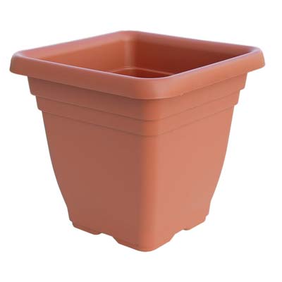 VASO QUADRO LAURUS ICS - PP TERRACOTTA CM 25X25 H.CM 23- 6 pezzi