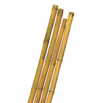 TUTORE CANNA BAMBOO - MM MAX 24 H.CM 180- 50 pezzi