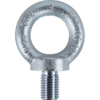 GOLFARE MASCHIO ZINCATO 8040EZ ROBUR - DIN580 M12 O.MM 30- 5 pezzi