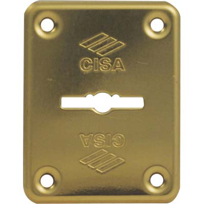 MOSTRINA RETTANGOLARE DOPPIA MAPPA 06082 CISA - OTTONE MM 60X46- 6 pezzi