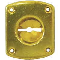 MOSTRINA RETTANGOLARE DOPPIA MAPPA 31 CR  OTTONE INCAVO MM  8 MM 46X30