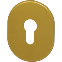 MOSTRINA PORTA BLINDATA 316L/SV CIPIERRE - F.SAGOM OTTONE BRUNITO MM 90X70- 5 pezzi