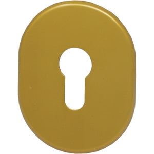 MOSTRINA PORTA BLINDATA 316L/SV CIPIERRE - F.SAGOM OTTONE BRUNITO MM 90X70- 5 pezzi