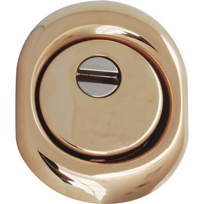 DEFENDER MONOLITO BD200 DISEC  OTTONE LUCIDO F.SAG I.MM 38 D. MM 50 H. MM 25