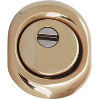 DEFENDER MONOLITO BD200 DISEC  OTTONE LUCIDO F.SAG I.MM 38 D. MM 50 H. MM 25