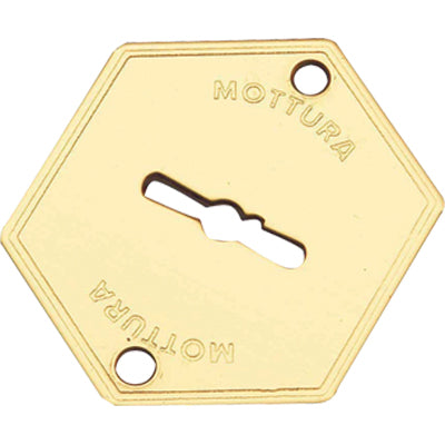 MOSTRINA PORTA BLINDATA 95223 MOTTURA - DM OTTONE MM 52X64- 5 pezzi