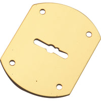 MOSTRINA PORTA BLINDATA A BOTTE 95223/B MOTTURA - DM OTTONE MM 52X70- 5 pezzi