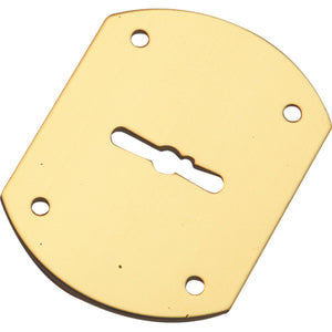 MOSTRINA PORTA BLINDATA A BOTTE 95223/B MOTTURA - DM OTTONE MM 52X70- 5 pezzi