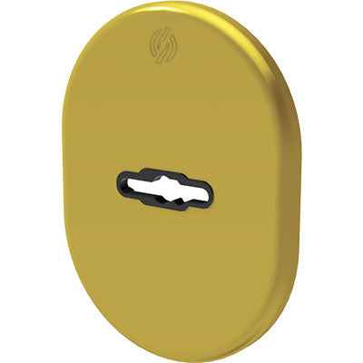 MOSTRINA PORTA BLINDATA 4301 SECUREMME - DM OTTONE LUCIDO MM 82X62- 5 pezzi