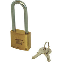 LUCCHETTO ARCO LUNGO ADITUS ISEO - OTTONE ARCO CROMATO CHIAVI 2 MM 30X46- 10 pezzi