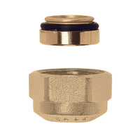 TAPPO PER DERIVAZIONI DEI COLLETTORI- passo 1.5- CALEF- pezzi 1