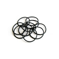 O-RING PER FILTRI ACQUA- Junior - Senior- ATLAS- pezzi 1