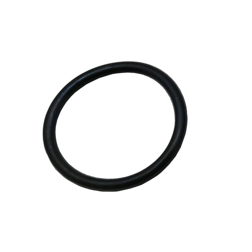 GUARNIZIONE RESISTENZA PER SCALDABAGNO ATON A VITE- ATON- pezzi 1