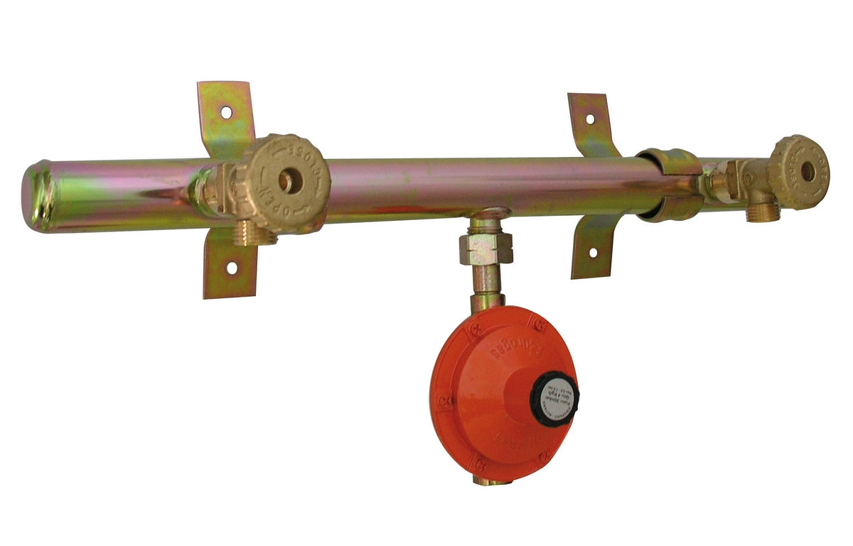 CENTRALINA GAS 2 ELEMENTI  CON ATTACCO CENTRALE- kg. / h 4- DK- pezzi 1