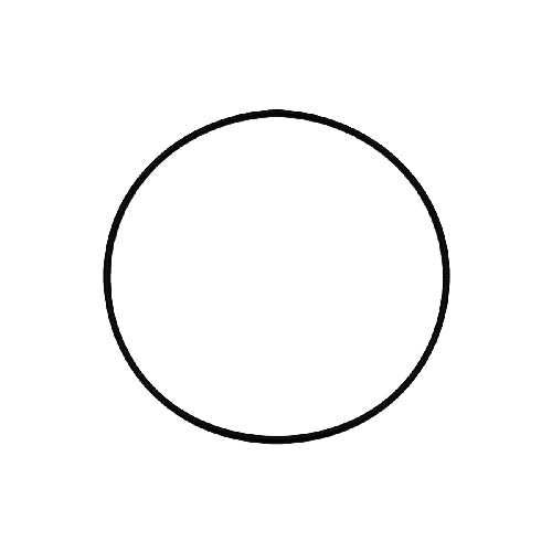 RICAMBIO O-RING PER NS ART. 350-JC-080/100- DH- pezzi 1