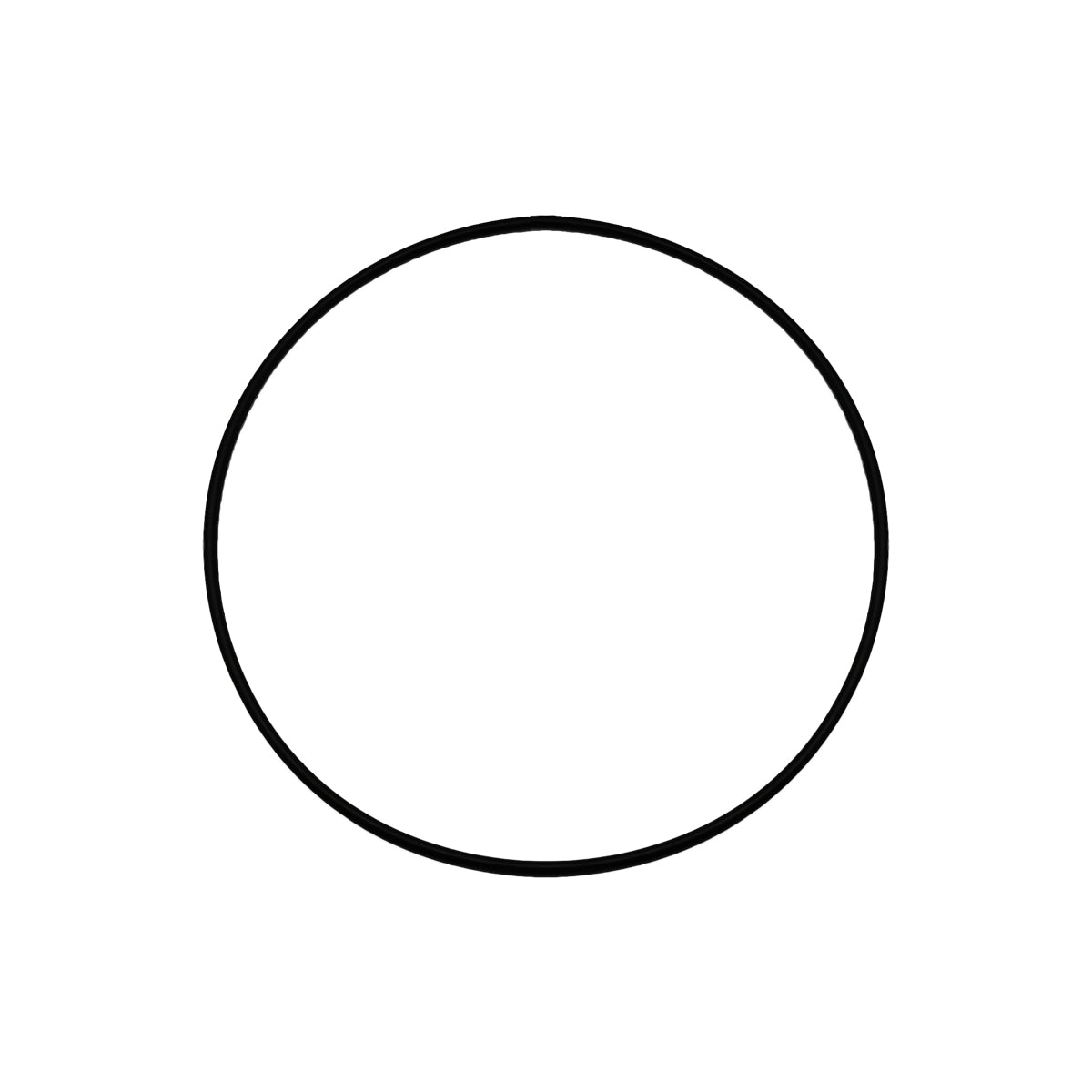 RICAMBIO O-RING PER NS ART. 350-JC-080/100- DH- pezzi 1