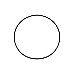 RICAMBIO O-RING PER NS ART. 350-JC-080/100- DH- pezzi 1