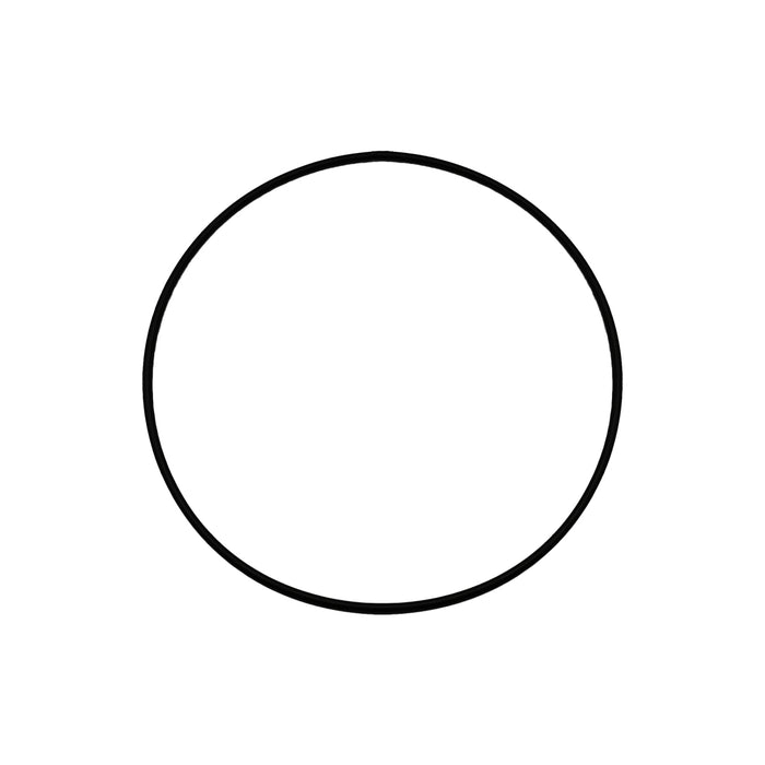 RICAMBIO O-RING PER NS ART. 350-JC-080/100- DH- pezzi 1