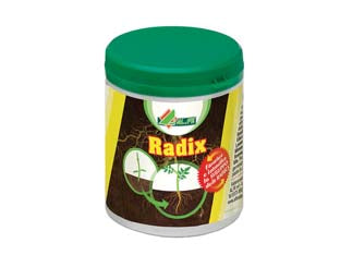 RADICANTE IN POLVERE RADIX- - gr.80 in barattolo - 6 pezzi ALFE