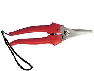 FORBICE RACCOLTA LAMA LUNGA- - cm.19 - 31327 - 12 pezzi AUSONIA