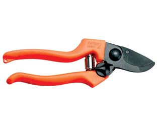 FORBICE POTA PROFESSIONALE TAGLIO PASSANTE PATIN 2- - cm.19,5 - 31131 - 1 blister AUSONIA