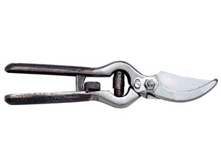 FORBICE POTA FORGIATA PROFESSIONALE CHIUSURA A RULLO SPALLA LUCIDA  cm.21  31003    AUSONIA