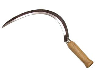 FALCIOLA LISCIA  n°2