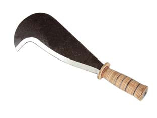 RONCOLA MAREMMA  lama mm.300