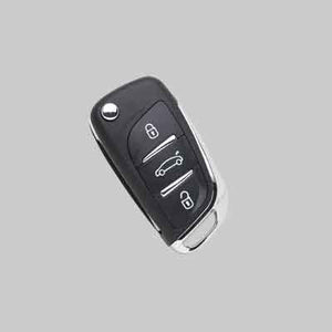 RADIOCOMANDO PER AUTO FIAT/CITROEN/LANCIA/PEUGEOT 'VAR16' 3 Bottoni - SILCA