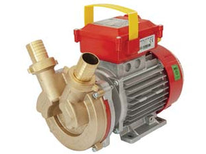 ELETTROPOMPA IN BRONZO BISENSO DA TRAVASO ROVER 30 CE    ROVER