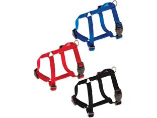 PETTORINE NYLON CHAMPION P PER CANI- - taglia M colore blu - 2 pezzi FERPLAST