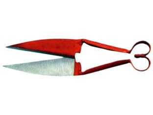 FORBICE TOSA PECORE  cm.30    IL CAMPO