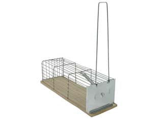 TRAPPOLE NORMALI A GALLERIA PER TOPI BASE IN ACCIAIO INOX- - cm.21x9x8,5h - 3 pezzi