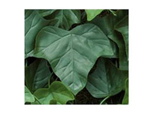 FOGLIE EDERA DI RICAMBIO PER SIEPE ARTIFICIALE  pz.20    TREX