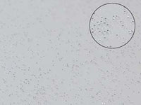 TOVAGLIATO PVC GLITTERATO ARGENTO- - cm.140h, rotolo da mt.30 - 30 mt