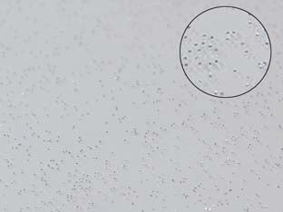 TOVAGLIATO PVC GLITTERATO ARGENTO- - cm.140h, rotolo da mt.30 - 30 mt