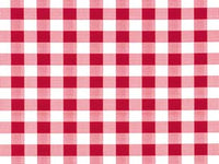 TOVAGLIATO SUNNY FELPATO QUADRETTATO ROSSO- - cm.140h, rotolo da mt.20 - 20 mt