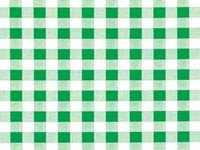 TOVAGLIATO SUNNY FELPATO QUADRETTATO VERDE- - cm.140h, rotolo da mt.20 - 20 mt
