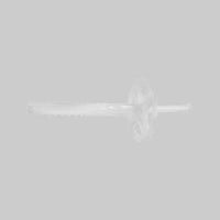 TASSELLO AD ESPANSIONE CON CHIODO 220 mm - 250 pezzi