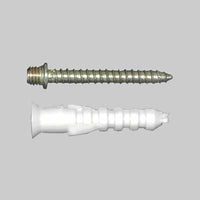 VITE E TASSELLO PER COLLARE LEGGERO M6x30 - 100 pezzi