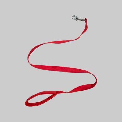 GUINZAGLIO PER CANI IN NYLON CON MANICO IMBOTTITO IDEAL STAR 20 mm x 120 cm - IDEAL STAR