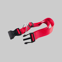 COLLARE PER CANI 'CLUB C' 15 mm x 30÷44 cm - FERPLAST