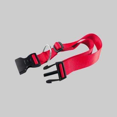COLLARE PER CANI 'CLUB C' 20 mm x 36÷56 cm - FERPLAST