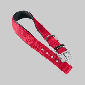 COLLARE PER CANI 'DAYTONA C' 15 mm x 27÷35 cm - colore rosso - FERPLAST