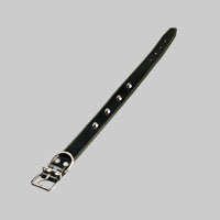 COLLARE PER CANI FODERATO CON BORCHIE 25x510 mm